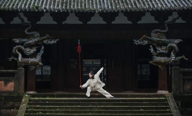 emei kungfu master 7