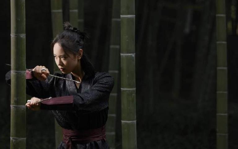 emei kungfu master 8